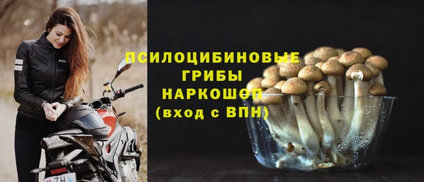 трава Алзамай
